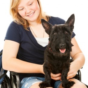 Mulher numa cadeira de rodas com um cão