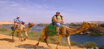 Camel Tour - Share your travel souvenir with Toumsy