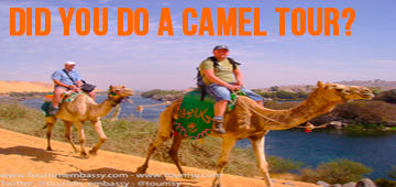 Did you do a Camel Tour?
