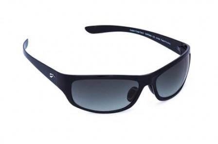 Summer Hawk Optics, Inc. at Paris Air Show 2017