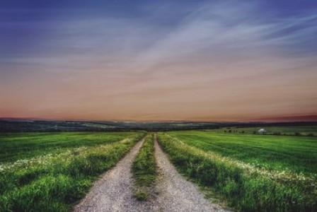 Trans Canada Trail announces new partnership with Clif Bar & Company to support connection of The Great Trail