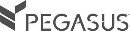 Pegasus Solutions Announces Two New Executive Hires