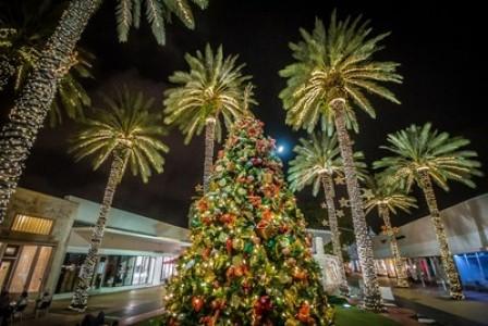 Miami Beach Calls All Snowbirds to Enjoy a Tropical Getaway This Holiday Season