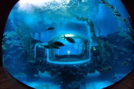 Ouverture au public de l'aquarium « Poema del Mar » sur l'île de Grande Canarie