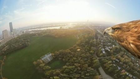 Una panorámica de Viena a vista de águila