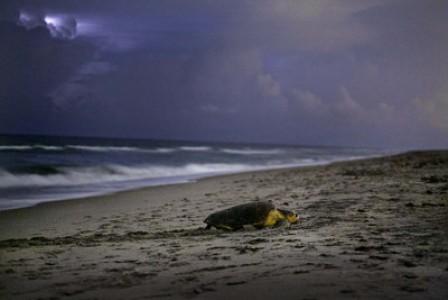 School's Out, Summer Begins in The Palm Beaches