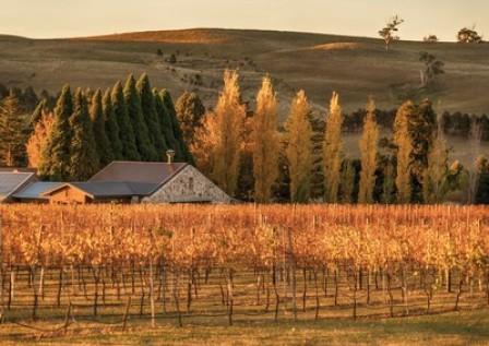 Destination New South Wales - Aussie Wine Weekend: Explore the Southern Highlands' Food & Wine Trail