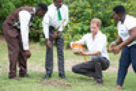 Third day of Prince Harry's official visit to Antigua and Barbuda