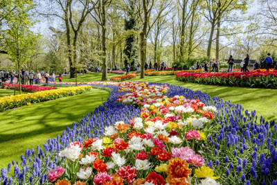 Dutch Design in Blumen bei Eröffnung Keukenhof