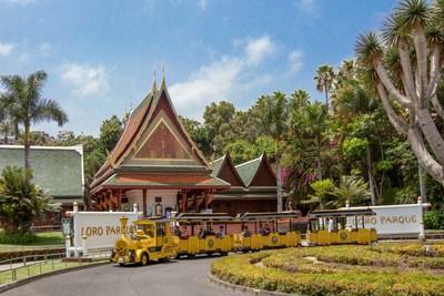 Loro Parque, Best Zoo in the World According to TripAdvisor