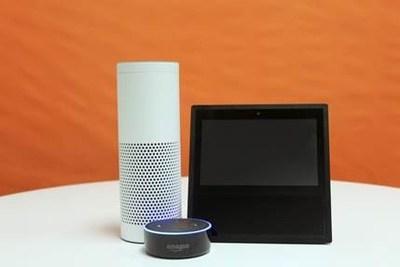 Bridge2 Solutions Announces the First Voice Activated Rewards Platform: Introducing Points Pal