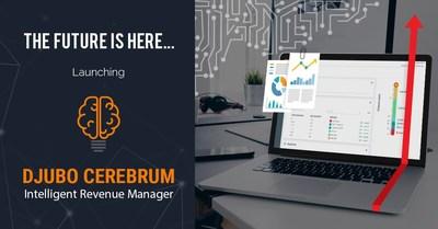 DJUBO Launches CEREBRUM - An Intelligent Revenue Manager for Hotels, BnBs and Vacation Rentals
