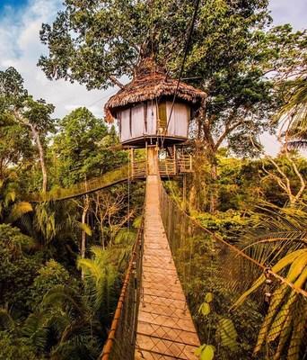 Rainforest Cruises Offers Luxury Bucket List Adventure Package Including Amazon River Cruise, Treehouse Lodge and Flights