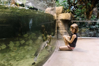 The new Biodôme de Montréal welcomes its first visitors with a totally new visitor experience!