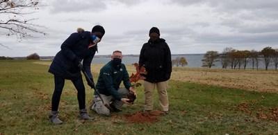 Trees Planted at Skmaqn-Port-la-Joye-Fort Amherst National Historic Site as Part of Acadie 300 PEI Celebrations