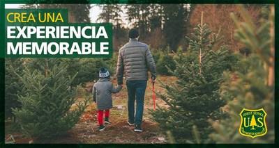 Permisos para árbol de Navidad disponibles en línea