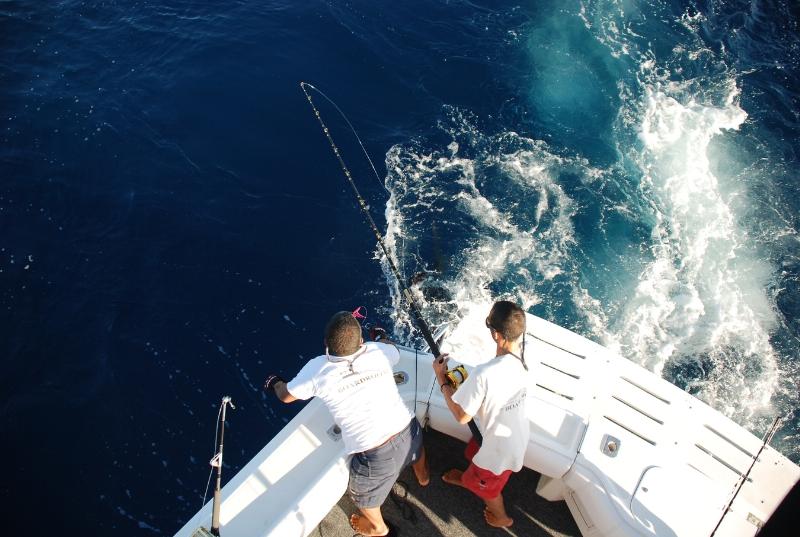 Fishing Tournaments Abound in Mazatlan