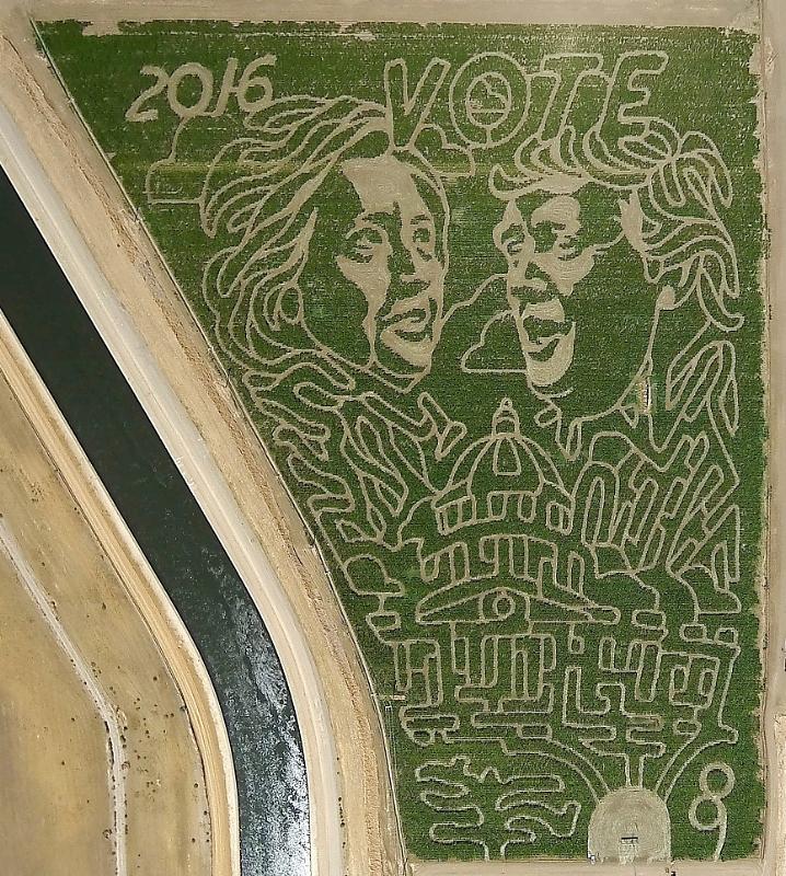 Huge Election-Themed Corn Maze in Patterson Features Likenesses of Hillary and Trump