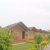 Jungle Eco Resort