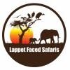 Lappet Faced Safaris