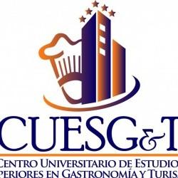 Centro universitario de estudios superiores en gastronomía y turismo (carlos Llaca Castelan)