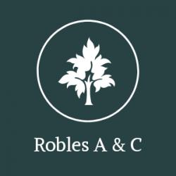 Robles Arts & Crafts Company (Evelyn O. Rivera)